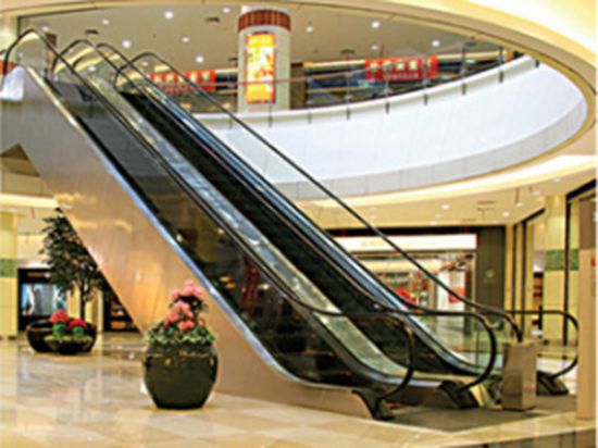 點(diǎn)擊查看詳細(xì)信息<br>標(biāo)題：自動(dòng)扶梯 閱讀次數(shù)：4993